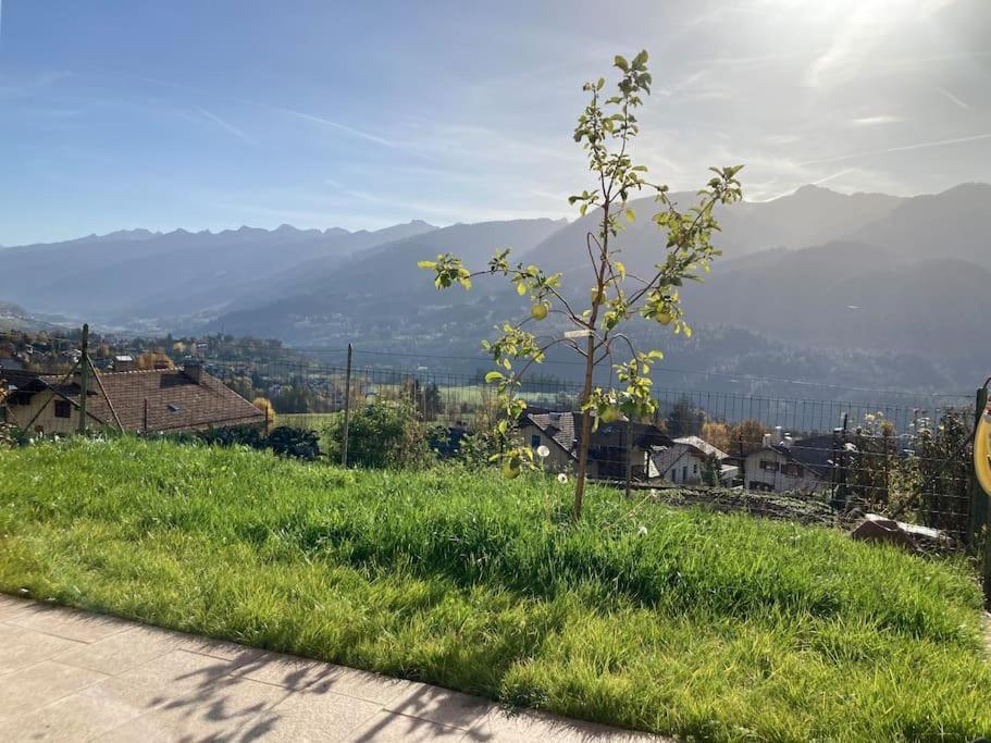 Casa Diaf Appartamento Incantevole Carano Ville Di Fiemme Exteriér fotografie